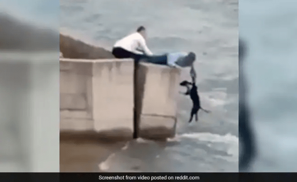 Man Skips Wedding Celebration to Rescue Stray Dog