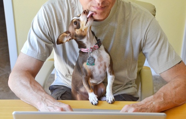 Pet insurance from a vet’s view