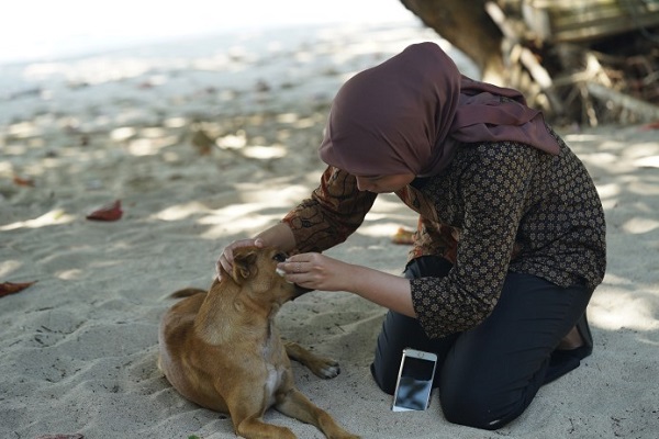 Supreme Court stays Delhi HC order allowing citizens to feed street dogs