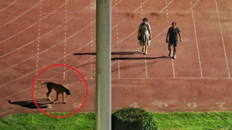 Thyagraj Stadium Row IAS Office and His Wife Transferred to Different Locations