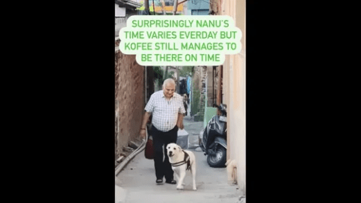 A screengrab of the video that shows a dog getting excited to meet his human when he comes home.