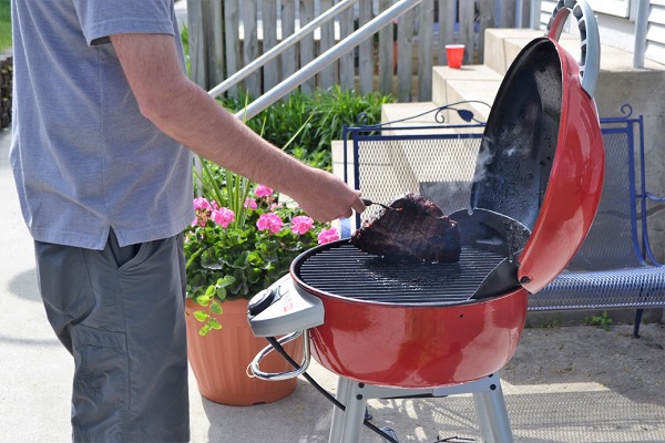 All The Best Meats To Feed Your Dog