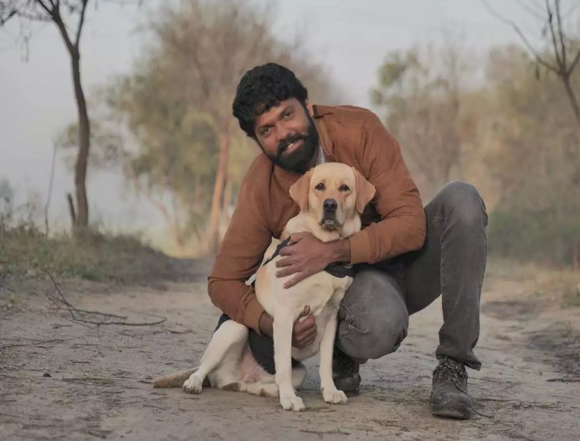 Demand for Labradors in Bengaluru Increases After 777 Charlie Release
