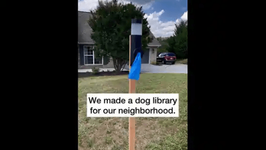 Guess the Items for Pooches In this Dog Library