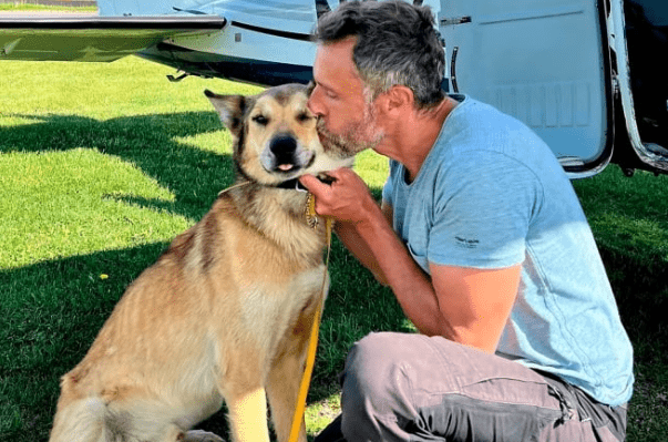 Iditarod Found His Lost Dog After Three Months