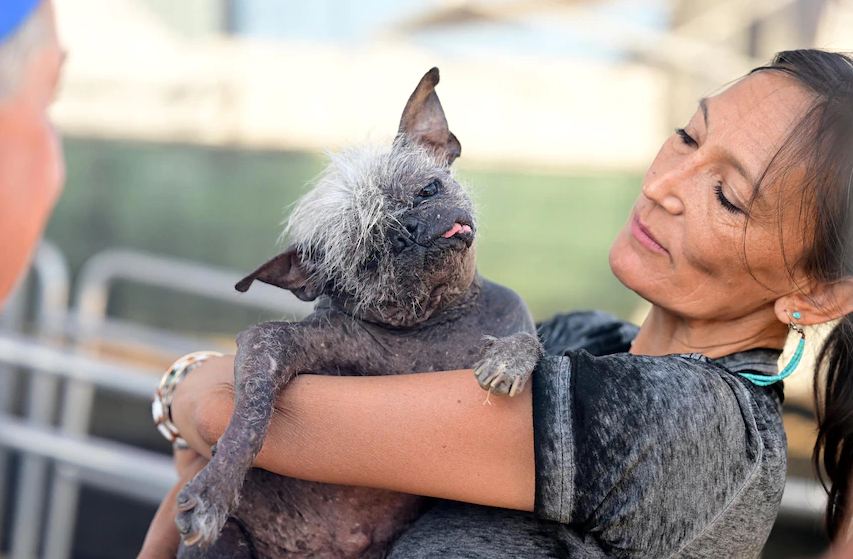 Meet the ugliest dog in the world, Mr. Happy Face, 2022