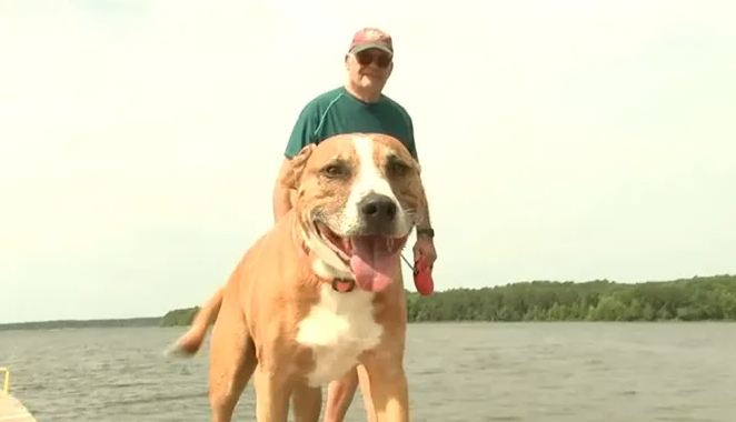 Toxic Algae At Jordan Lake Kills A Dog, State Conducts Tests