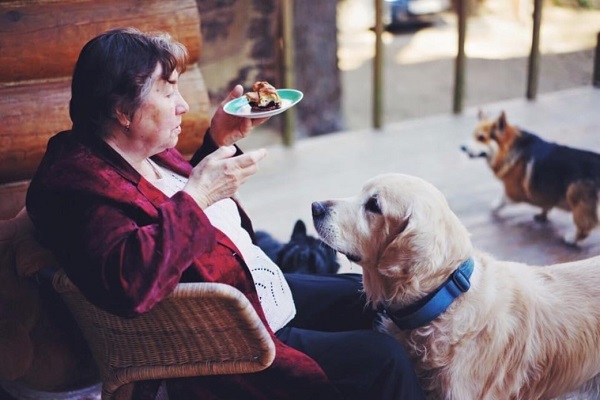 15 Best Dog Breeds for Seniors