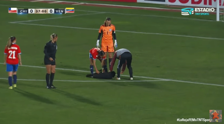 Dog Interrupts a Soccer Match Demanding Belly Rubs