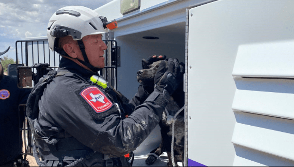 EPFD Successfully Rescues Dog From Canal