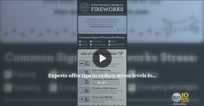 Pet Advocates Offer Tips To Keep Your Pets Calm During Fireworks Shows