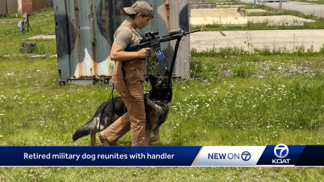 The Retired Military Dog Reunites With The Handler In New Mexico