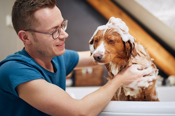 What Is the Best Thing to Wash a Dog with Skin Allergies