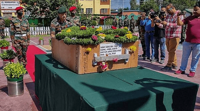 Army Dog Axel Gets Gallantry Award Who Helped Kill Terrorist In J&K