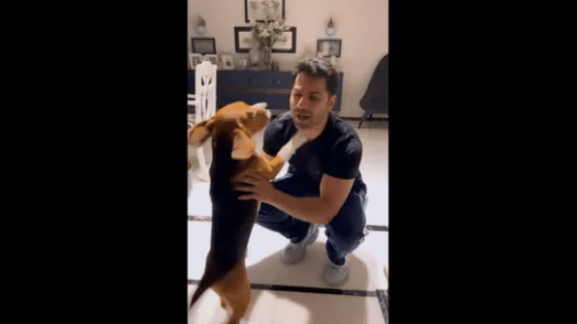 How Varun Dhawan Meets His Pet Dog Joey and Gets Treated with Kisses