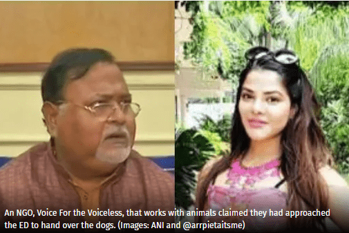 Victim Dogs of Partha-Arpita's Deed Worry Locals