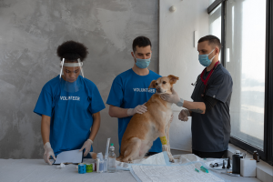 Rabies