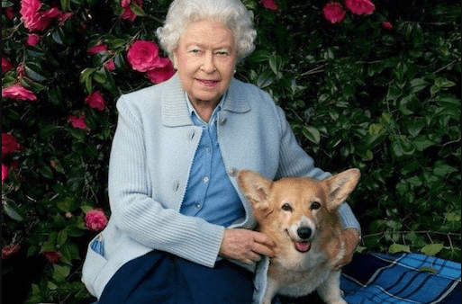 Queen Elizabeth’s corgis