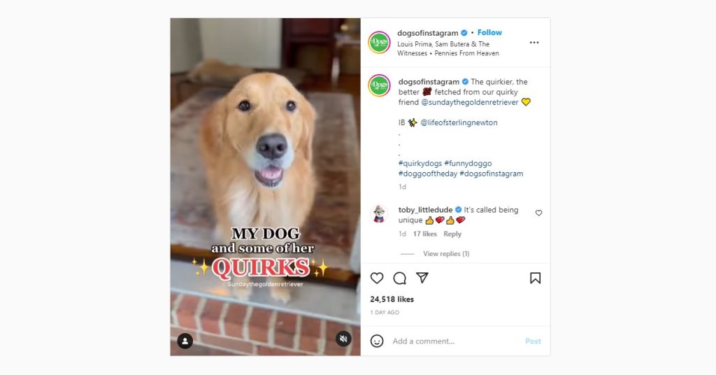 golden retriever antics