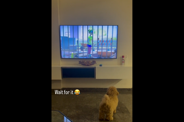 Dog Mimics The Dog On TV With Joy