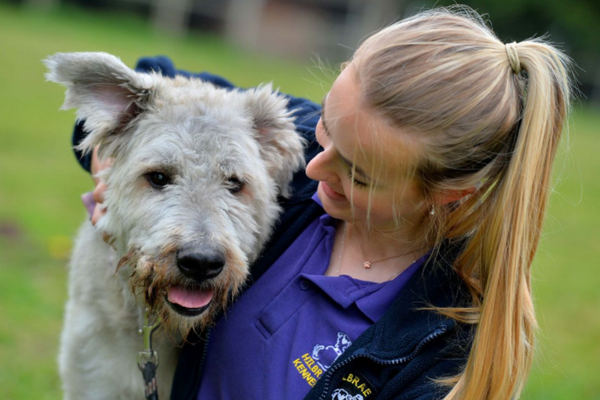 Blind Dog Mr. Morris