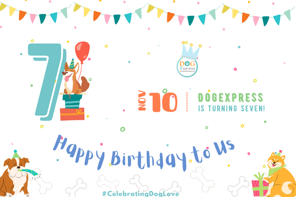 DogExpress Celebrating 7 Years of Trust and Growth