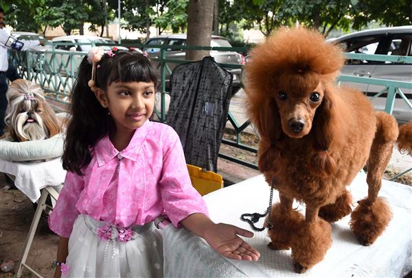Pets Have a Field Day at The Royal Kennel Club, Panchkula