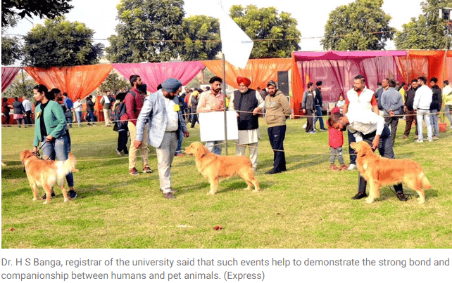 GADVASU Organizes a Dog Show