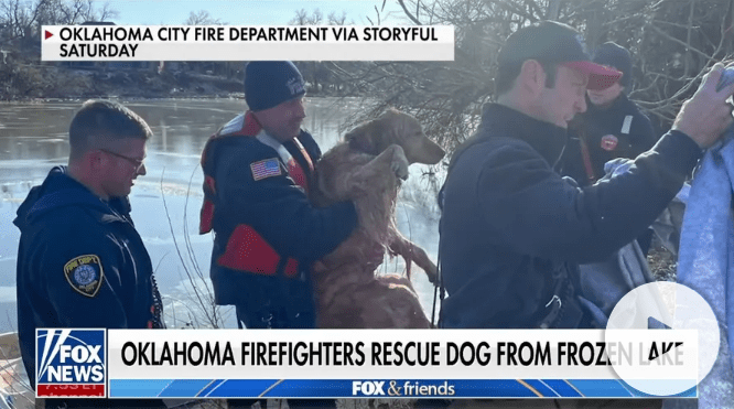 Oklahoma firefighters rescue dog stuck in frozen lake