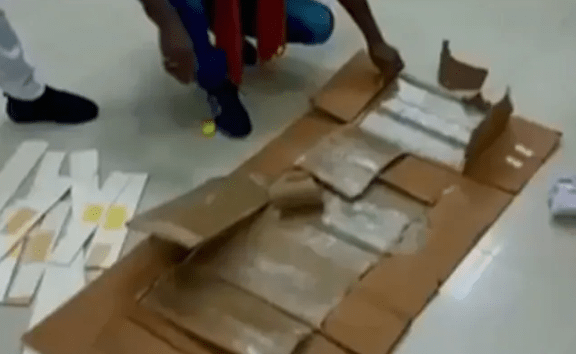 Sniffer Dog Detects Drugs at Chennai Airport, Worth Rs 5.35 Crore