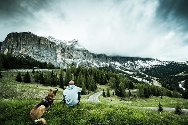 Top Ten Dog Breeds That Make Great Hiking Buddies