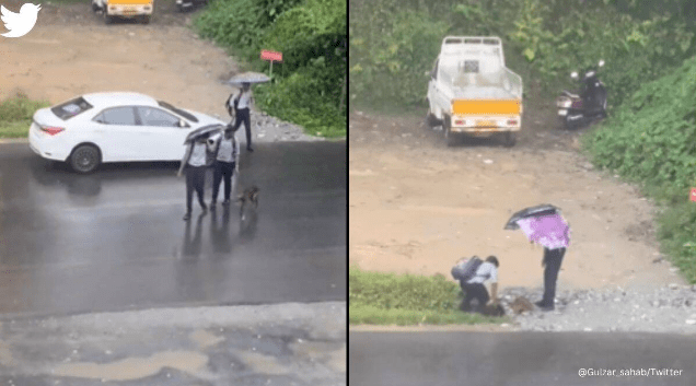 Watch How This Youngster Rescued a Dog Amid Pouring Rain