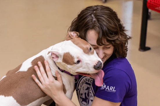 Dog Abandoned at Des Moines Airport