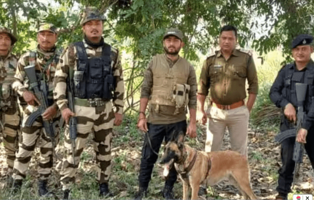 Dogs That Helped Nab Osama Bin Laden Will Now Track Tiger Poachers in MP