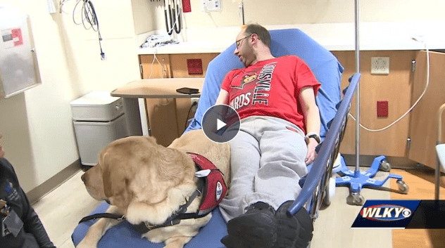 'Heel Dog, Heal' Program At Norton Healthcare Aims To Bring Furry Pals Into Patient Care