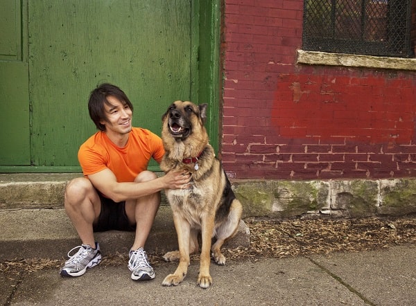 How German Shepherd Can Help Your Stress and Mental Health