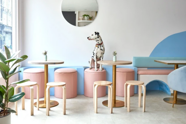 A place for dog owners and lovers (Picture: Pawsitive Cafe)