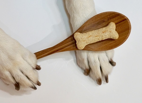 Which Flour Is Best for Preparing Dog Treats