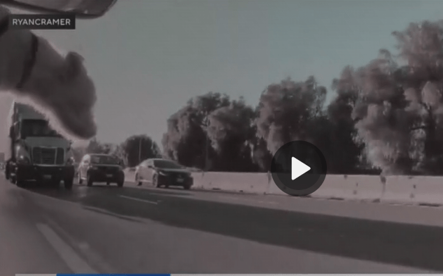 Dog Survives After Jumping onto Busy Los Angeles Freeway