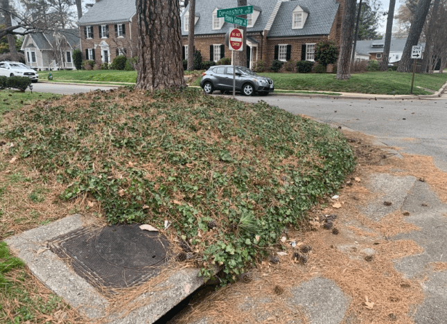 Firefighters Rescue Dog from Storm Drain in Richmond