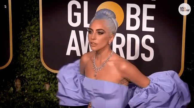 Suspect in Dog Theft Case Sues Lady Gaga for A $500k Reward