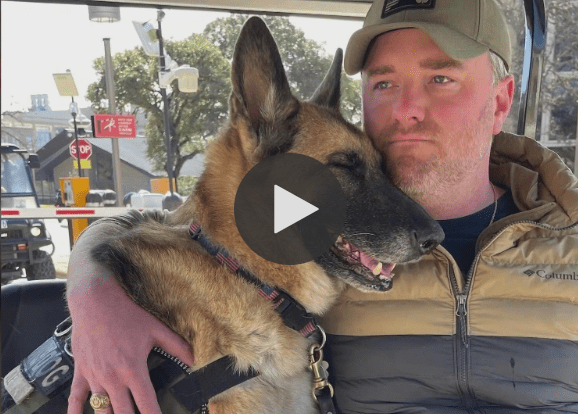 Texas Service Dog with 250+ Southwest Flights Takes Her Final Trip Home