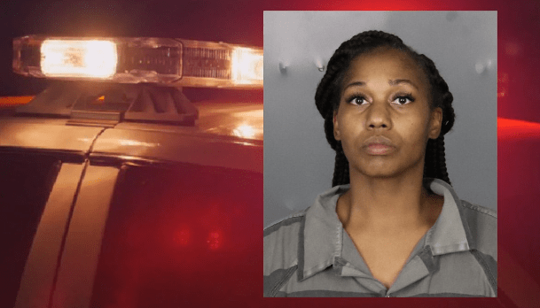 Woman Charged After Dog Dies Due to Cold from Being Left in Icy Conditions