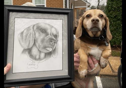 Family Left Their Senior Dog at Shelter with All Her Belongings