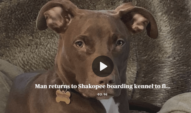 Minnesota Man Returns to Shakopee Boarding to Find the Missing Dog