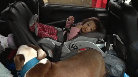 One-year-old Chantal next to the family dog Blue, who led firefighters upstairs to her amid the house fire. (FOX 2 Detroit)