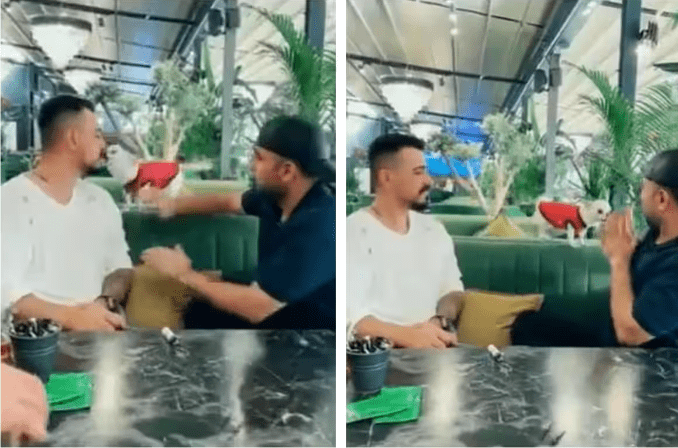 Watch Tiny Dog’s Reaction When Man Pretends to Hit His Friend