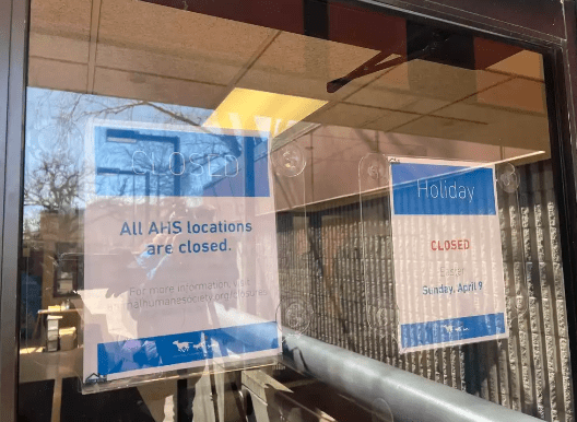 Animal Humane Society Adoption Centers Closed Due to A Canine Influenza Outbreak