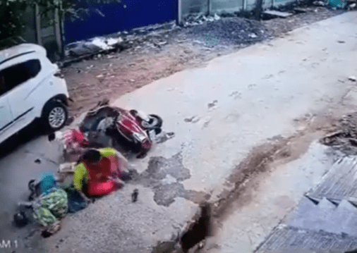 Odisha Social Worker Moves Nhrc Against Cruelty to Street Dogs in Berhampur