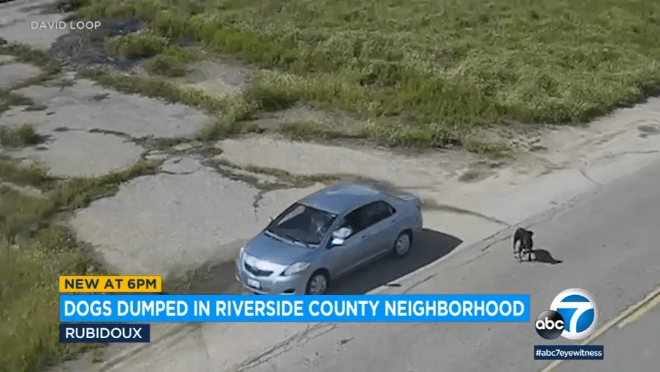 Surveillance Video Captures Dogs Abandoned On the Side Of Rubidoux Rd., CA